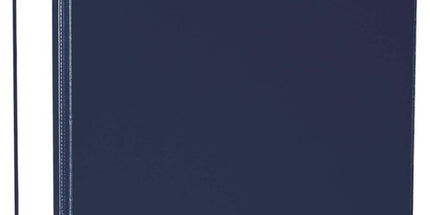 FM Vivid Ring Binder 2D A4 26mm